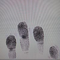 Fingerprinting And Background Check Services Canada | RCMP Accredited ...